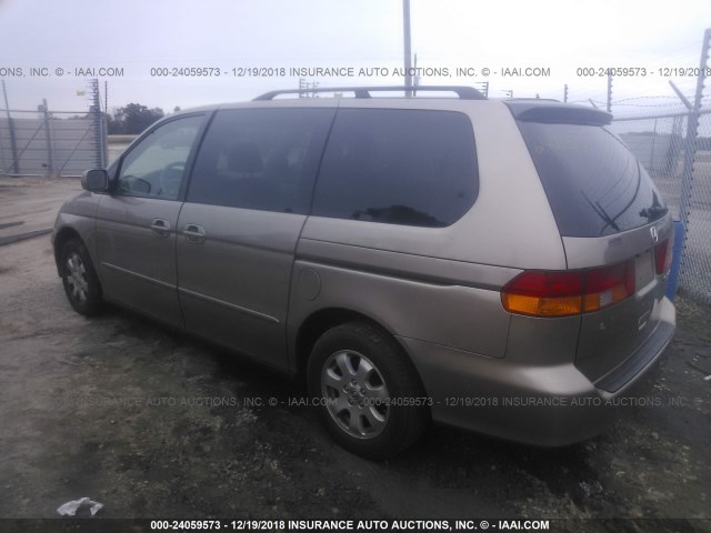 5FNRL18043B005572 - 2003 HONDA ODYSSEY EXL BEIGE photo 3