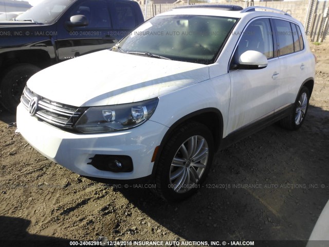 WVGBV3AX6EW561469 - 2014 VOLKSWAGEN TIGUAN S/SE/SEL/R-LINE WHITE photo 2