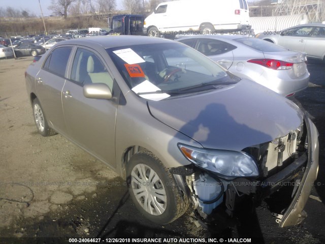 1NXBU4EE4AZ328424 - 2010 TOYOTA COROLLA S/LE/XLE GOLD photo 1