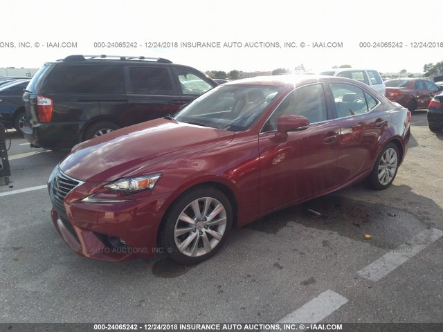 JTHBF1D2XF5079812 - 2015 LEXUS IS 250 RED photo 2