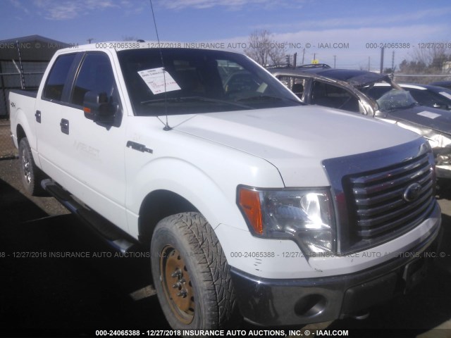 1FTFW1EF3BKD75447 - 2011 FORD F150 SUPERCREW WHITE photo 1