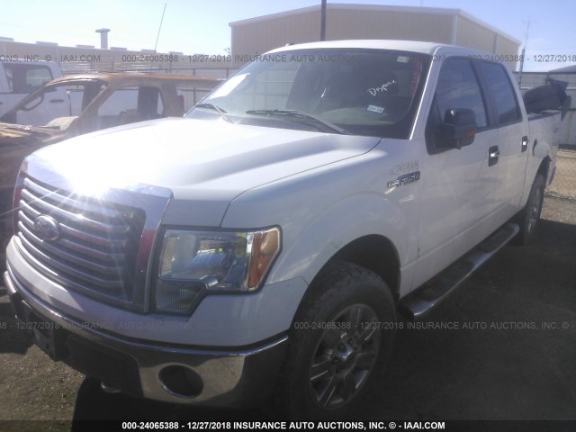 1FTFW1EF3BKD75447 - 2011 FORD F150 SUPERCREW WHITE photo 2