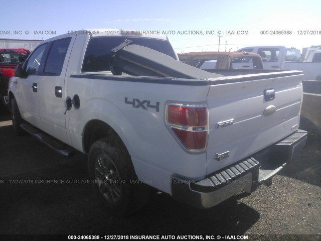 1FTFW1EF3BKD75447 - 2011 FORD F150 SUPERCREW WHITE photo 3