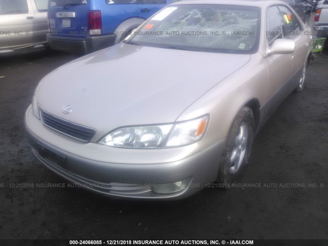 JT8BF28G7X5058414 - 1999 LEXUS ES 300 GOLD photo 2