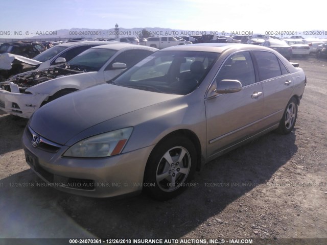 JHMCN36456C000687 - 2006 HONDA ACCORD HYBRID GOLD photo 2