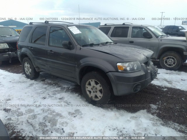 1FMCU94106KD24020 - 2006 FORD ESCAPE LIMITED GRAY photo 1