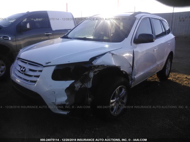 5NMSG3AB2AH391420 - 2010 HYUNDAI SANTA FE GLS WHITE photo 2