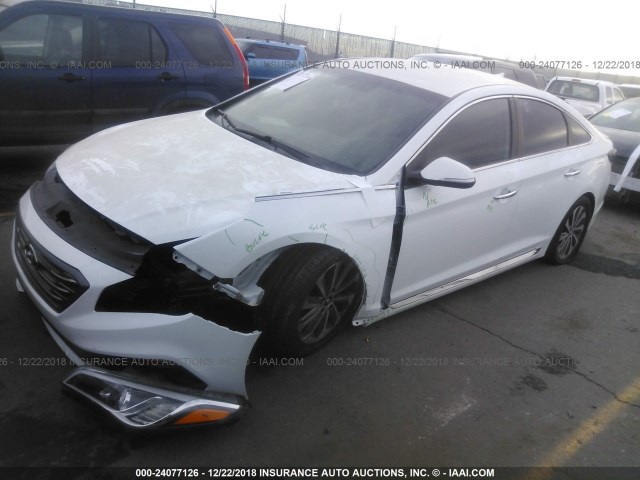 5NPE34AF8FH243476 - 2015 HYUNDAI SONATA SPORT/LIMITED WHITE photo 2