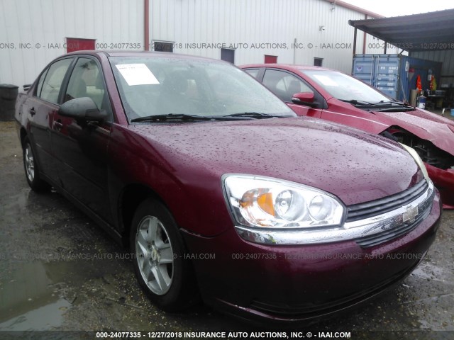 1G1ZT52825F237794 - 2005 CHEVROLET MALIBU LS 红色 照片 1