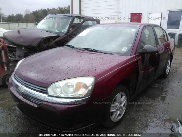 1G1ZT52825F237794 - 2005 CHEVROLET MALIBU LS 红色 照片 2