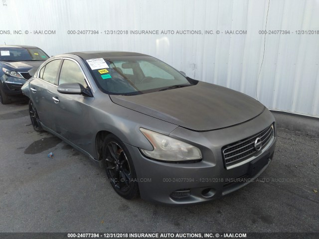 1N4AA51E49C800455 - 2009 NISSAN MAXIMA S/SV GRAY photo 1