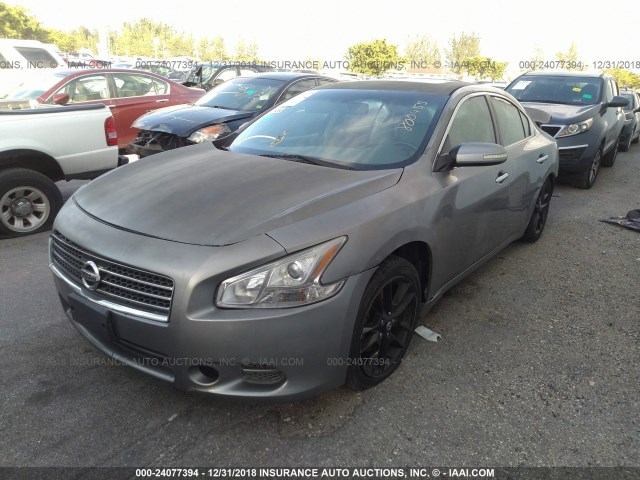 1N4AA51E49C800455 - 2009 NISSAN MAXIMA S/SV GRAY photo 2