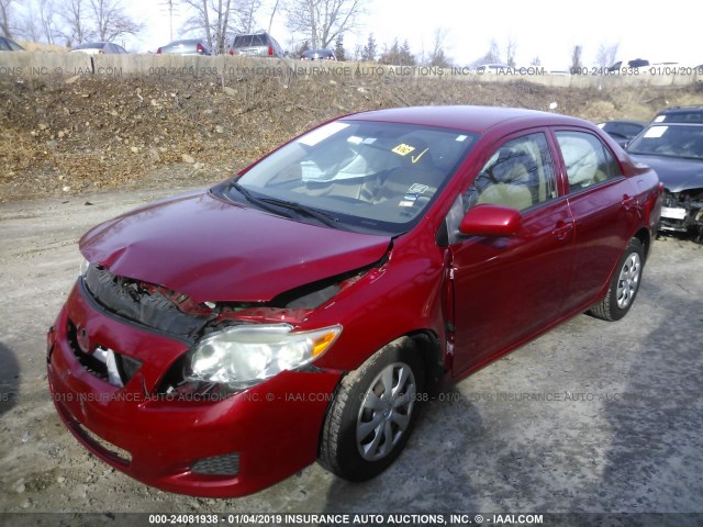 JTDBL40E699021253 - 2009 TOYOTA COROLLA LE/XLE RED photo 2