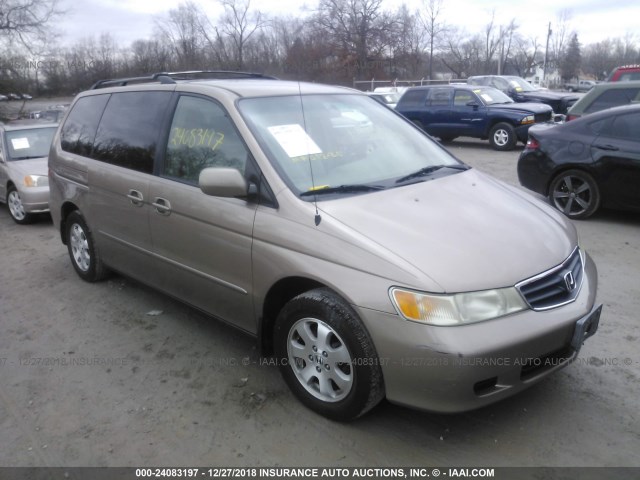 5FNRL18083B118280 - 2003 HONDA ODYSSEY EXL GOLD photo 1