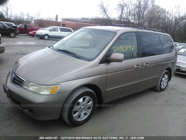 5FNRL18083B118280 - 2003 HONDA ODYSSEY EXL GOLD photo 2