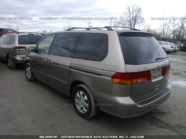 5FNRL18083B118280 - 2003 HONDA ODYSSEY EXL GOLD photo 3