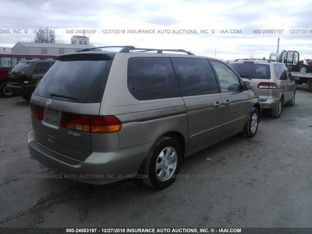 5FNRL18083B118280 - 2003 HONDA ODYSSEY EXL GOLD photo 4