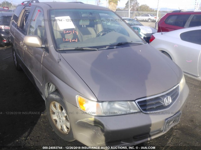 5FNRL189X4B037457 - 2004 HONDA ODYSSEY EXL GOLD photo 1