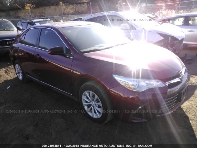4T1BF1FK4HU661763 - 2017 TOYOTA CAMRY LE/XLE/SE/XSE MAROON photo 1
