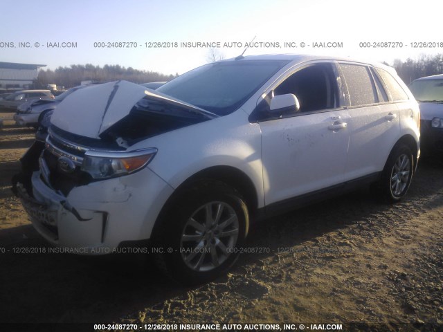 2FMDK4JC2DBB68539 - 2013 FORD EDGE SEL WHITE photo 2