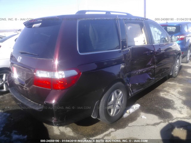 5FNRL38627B460930 - 2007 HONDA ODYSSEY EXL PURPLE photo 4