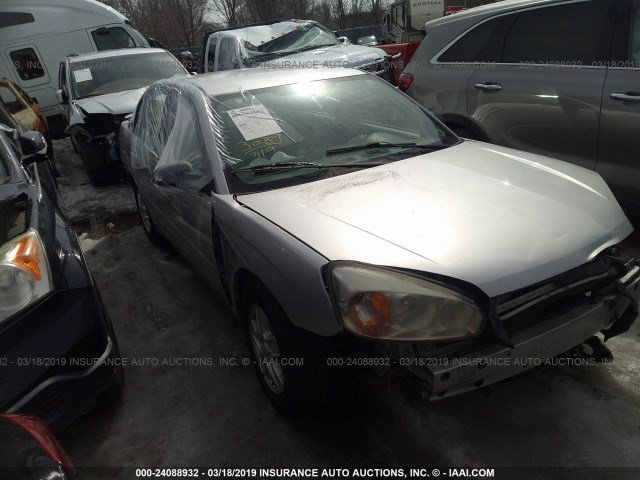 1G1ZT52865F257935 - 2005 CHEVROLET MALIBU LS SILVER photo 1
