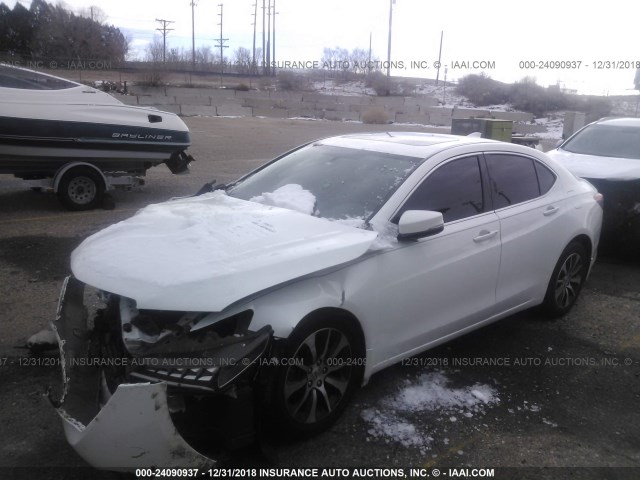 19UUB1F31FA002699 - 2015 ACURA TLX WHITE photo 2