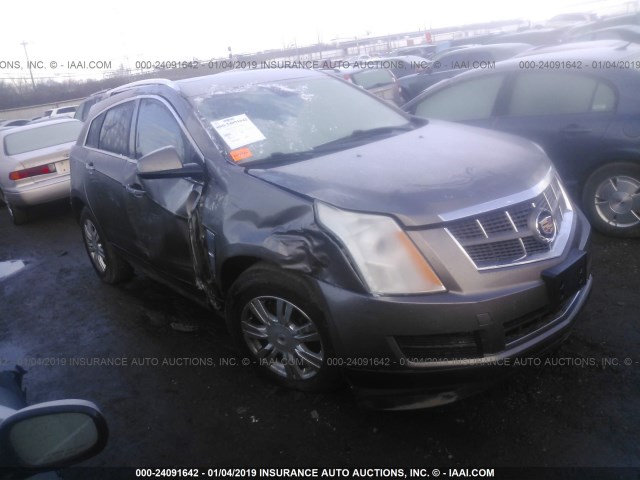 3GYFNDEY1BS660779 - 2011 CADILLAC SRX LUXURY COLLECTION GOLD photo 1