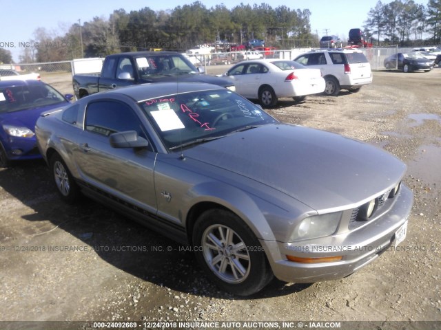 1ZVHT80N295106788 - 2009 FORD MUSTANG 灰色 照片 1