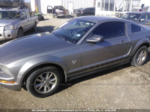 1ZVHT80N295106788 - 2009 FORD MUSTANG 灰色 照片 6