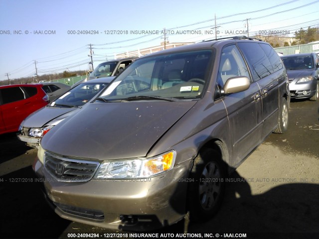 5FNRL18923B102154 - 2003 HONDA ODYSSEY EXL GOLD photo 2