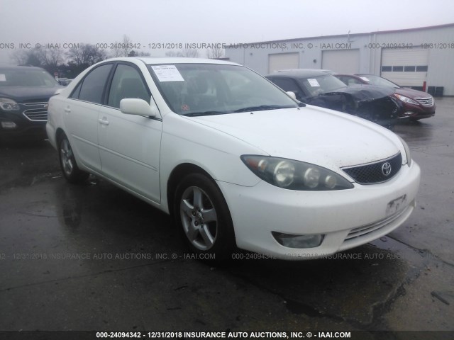 4T1BE32K55U568167 - 2005 TOYOTA CAMRY LE/XLE/SE WHITE photo 1