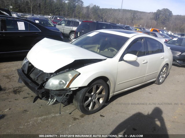 1N4BA41E97C805436 - 2007 NISSAN MAXIMA SE/SL WHITE photo 2