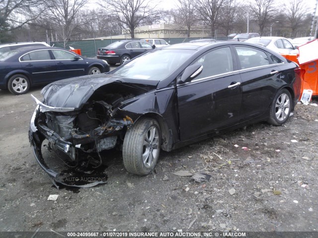 5NPEC4AC4DH672102 - 2013 HYUNDAI SONATA SE/LIMITED BLACK photo 2