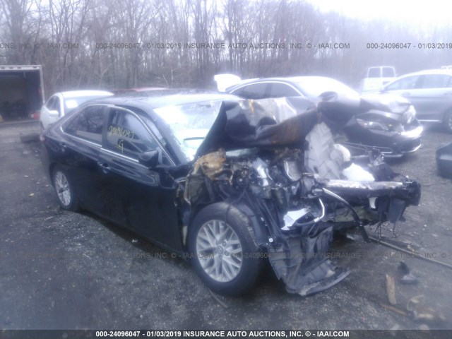 4T1BF1FKXGU248082 - 2016 TOYOTA CAMRY LE/XLE/SE/XSE BLACK photo 1