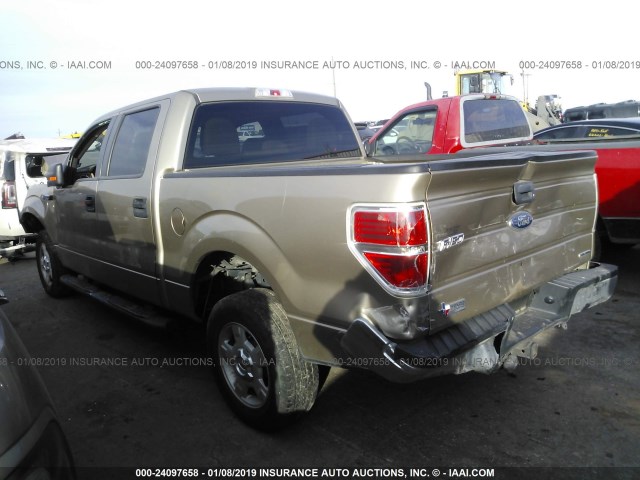 1FTEW1CM7DFB02150 - 2013 FORD F150 SUPERCREW TAN photo 3