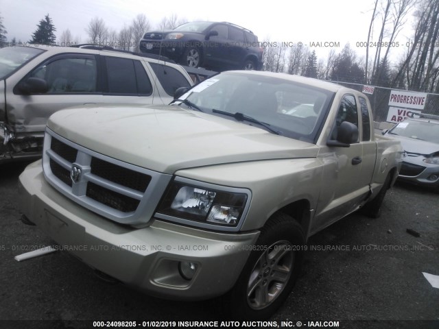 1D7RW3BK7BS667263 - 2011 DODGE DAKOTA SLT GOLD photo 2