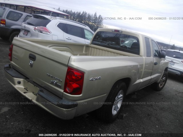 1D7RW3BK7BS667263 - 2011 DODGE DAKOTA SLT GOLD photo 4