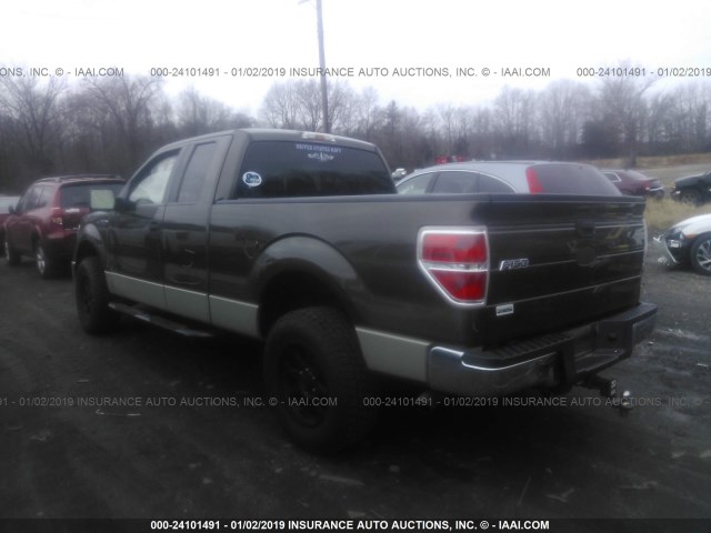 1FTRX12889FA38114 - 2009 FORD F150 SUPER CAB TAN photo 3