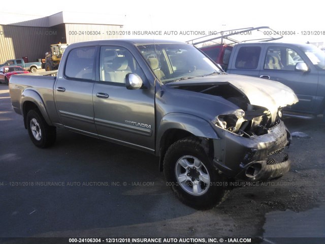 5TBET34185S486555 - 2005 TOYOTA TUNDRA DOUBLE CAB SR5 GRAY photo 1