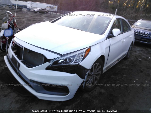 5NPE34AF0FH043465 - 2015 HYUNDAI SONATA SPORT/LIMITED WHITE photo 2