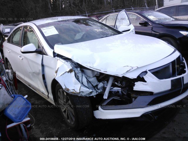 5NPE34AF0FH043465 - 2015 HYUNDAI SONATA SPORT/LIMITED WHITE photo 6