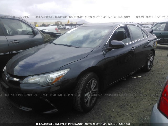 4T1BF1FK1GU249461 - 2016 TOYOTA CAMRY LE/XLE/SE/XSE Light Blue photo 2