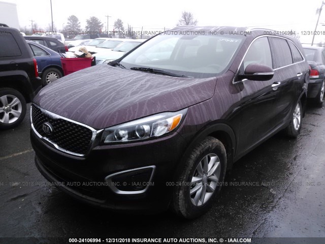 5XYPG4A34JG345716 - 2018 KIA SORENTO LX/L BURGUNDY photo 2