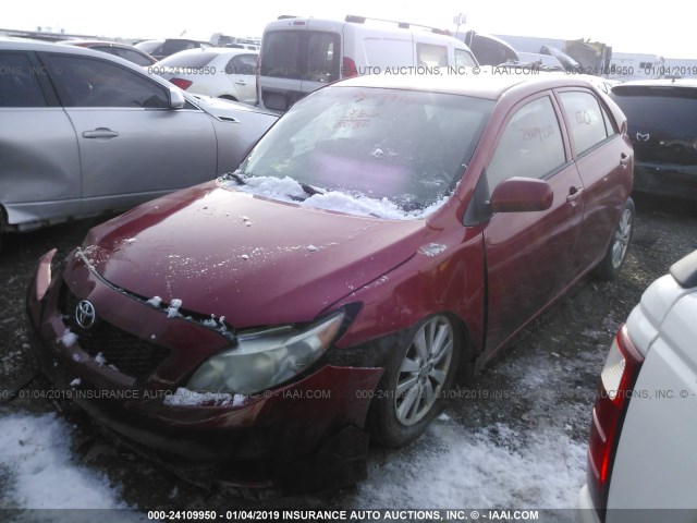 2T1BU4EE0AC430367 - 2010 TOYOTA COROLLA S/LE/XLE RED photo 2