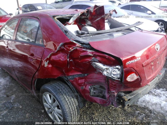 2T1BU4EE0AC430367 - 2010 TOYOTA COROLLA S/LE/XLE RED photo 6