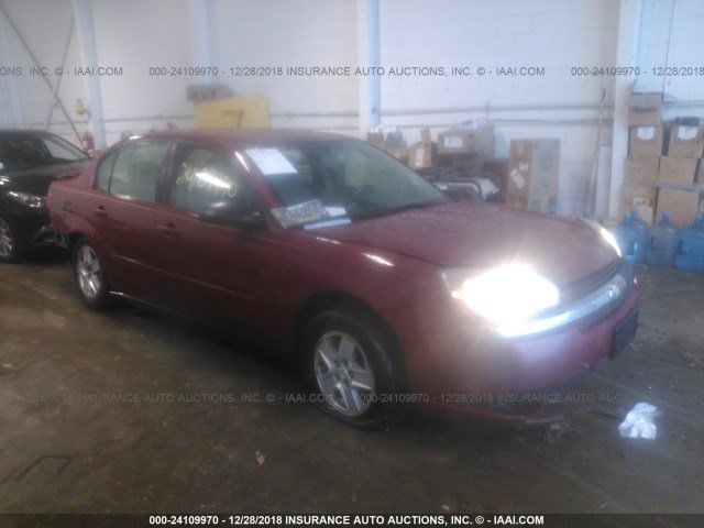 1G1ZT528X5F203473 - 2005 CHEVROLET MALIBU LS RED photo 1