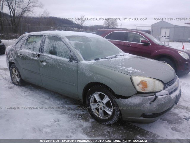 1G1ZT62855F150980 - 2005 CHEVROLET MALIBU MAXX LS 绿色 照片 1