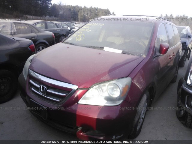 5FNRL38645B039062 - 2005 HONDA ODYSSEY EXL RED photo 2