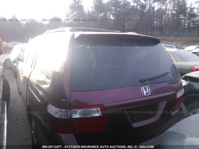 5FNRL38645B039062 - 2005 HONDA ODYSSEY EXL RED photo 3